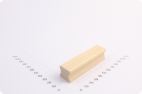 Schulstempel 20 x 80 mm